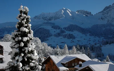 Adelboden: village and slopes, photo 4