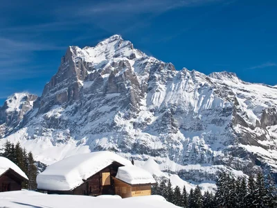 Grindelwald: village and slopes, photo 2